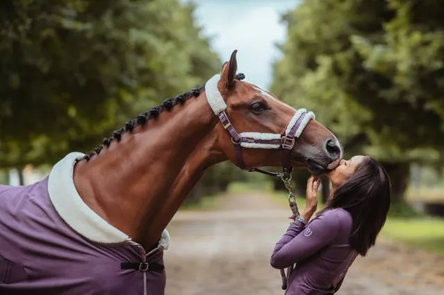 Licol doubl mouton et longe Equestrian Stockholm - Orchid Bloom - Violet - Cheval Vente Directe