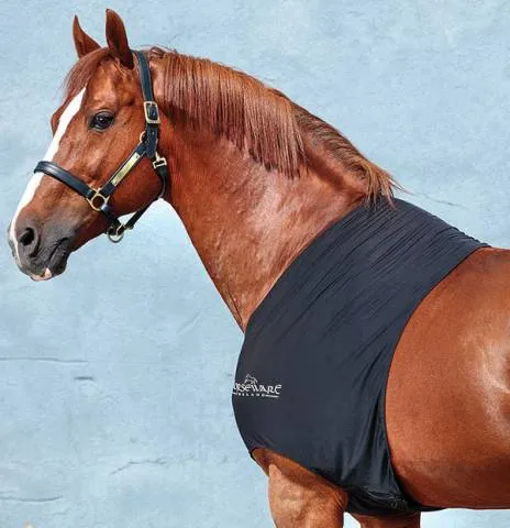 Must-Have Protge-paules Rambo - Horseware - lycra anti-statique - NOIR - XS