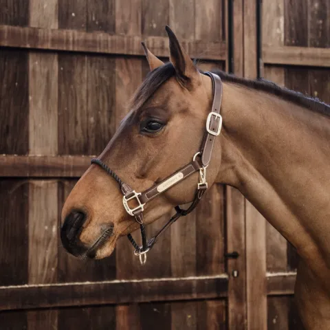 Expdition Rapide Licol en cuir rope - Kentucky - Marron - Cob