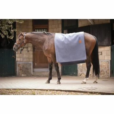 Marque Carr Wooltouch Paddock Sport (2 coloris) - Gris