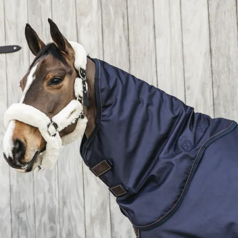 Achat Immdiat Couvre cou All Weather impermable pro 0g – Kentucky – M