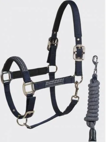 Nouvelle Collection Licol + longe Equiline (2 tailles) - Pur Sang - Gris