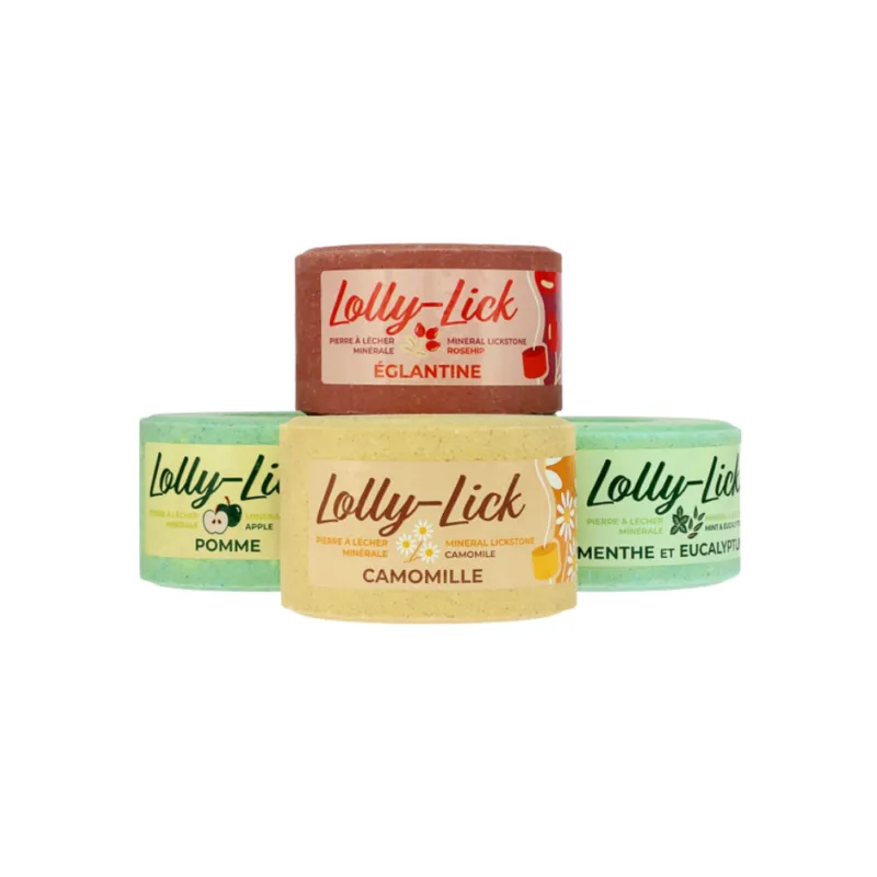 Offre Spciale Pierre sel LOLLY-LICK - HIPPOTONIC - Eglantine