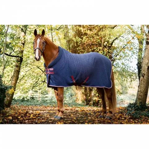 Expdi Aujourdhui Chemise schante Rambo EMBROSSED Cosy - HORSEWARE - 6'6 (145 cm )