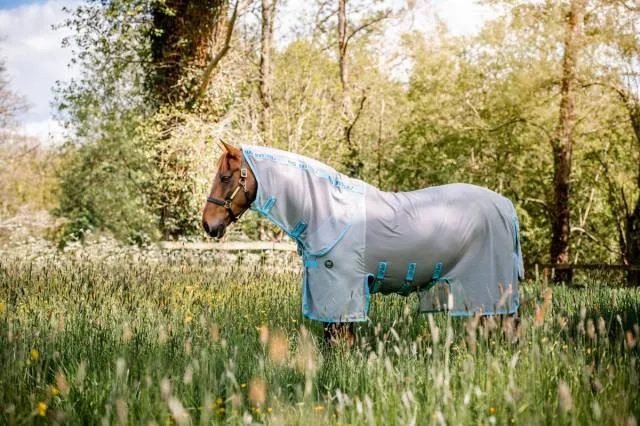 Populaire Chemise anti-mouches Amigo Eco Bug Buster - ARGENTE/BLEU CLAIR - 5'9 / 125 CM