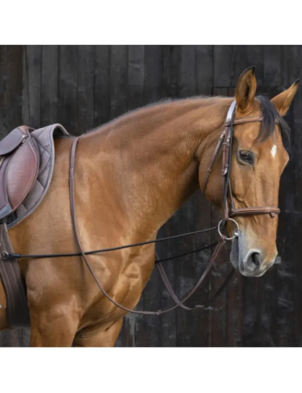 Promotion Saisonnire Enrnement long ducatif - NORTON