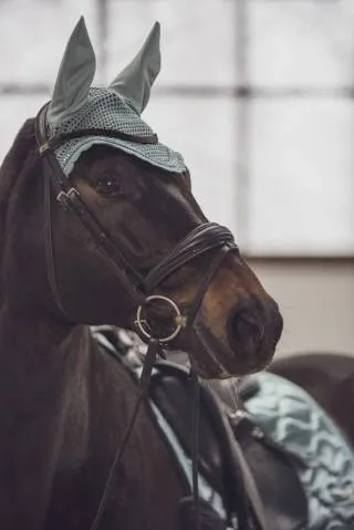 Meilleur Choix Bonnet Crystal Classic Sport S/S 2021 - Eskadron - Taupe - Cheval