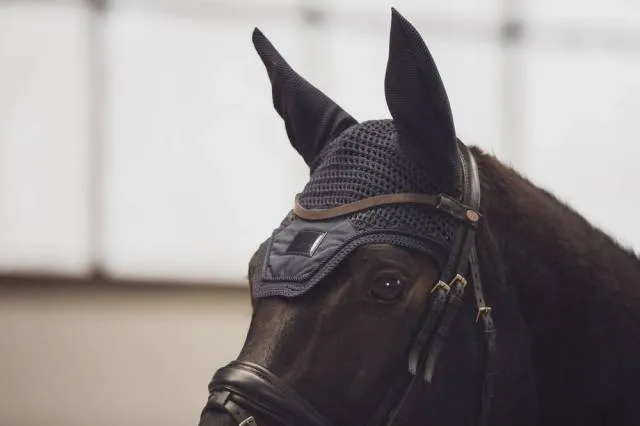 Prix Choc Bonnet Sport Classic Sport S/S 2021- Eskadron - Rouge CS - Cheval