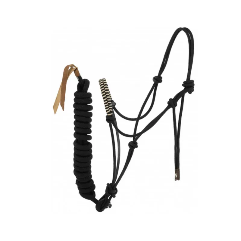 Licol thologique et longe - NORTON - noir / beige - full Jusqu puisement Des Stocks