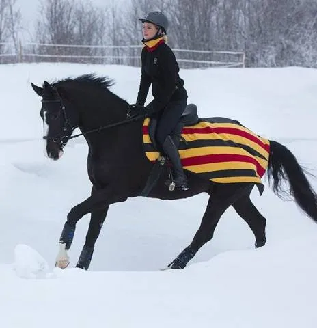 Couvre-reins doubl polaire Witney - Rambo - proprits thermiques - NEWMARKET BLEU - S Satisfait Ou Rembours