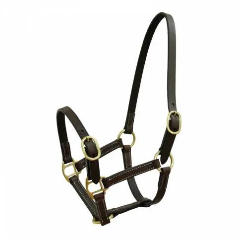 Licol Norton Club cuir havane pour poulain - Havane - Cuir - Foal 2 Produit De Marque