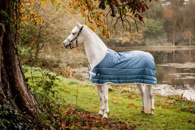 Sous-couverture Liner eco-friendly 100g - Horseware - tissu rPet - IMPRIME TEAL - 5'6 / 115 CM Prix Rduit