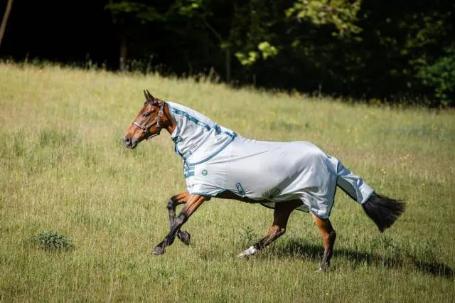 Retour Gratuit Couverture anti-insectes Amigo AmEco Bug Rug - Aussie Apparel - co-friendly - ARGENTE/TURQUOISE - 6'9 / 155 CM