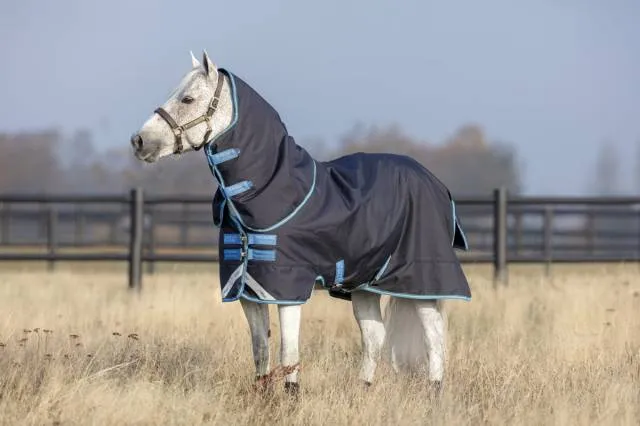 Nouvel Arrivage Couverture extrieure Amigo Bravo pony plus - Horseware - 250g - MARINE/TURQUOISE - 4'6 / 90 CM