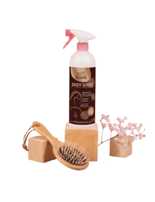 Easy shine edition limite 20 ans - RAVENE - 750 ml Commander Vite
