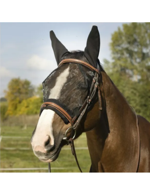 Vente Directe Masque EQUITHME "Training" - cheval