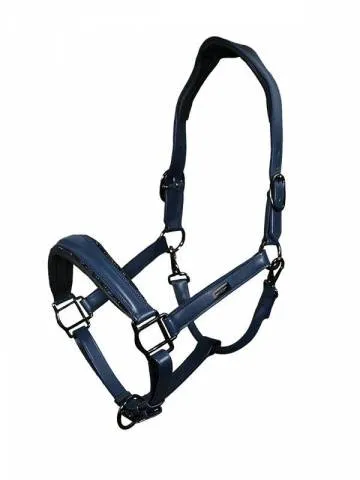 Livraison Gratuite Licol en cuir Anatomique Glimmer Dark Venice - Equestrian Stockholm - Bleu marine - Cheval