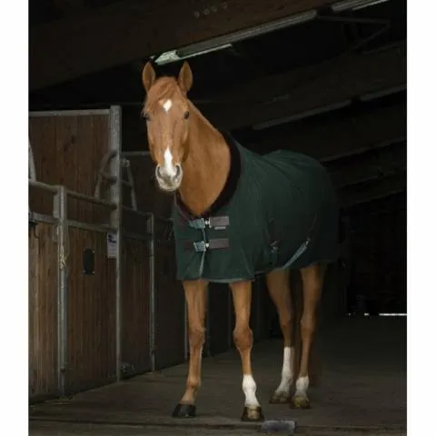 Chemise polaire Teddy - Equi-Thme - vert - 6,6" Must-Have