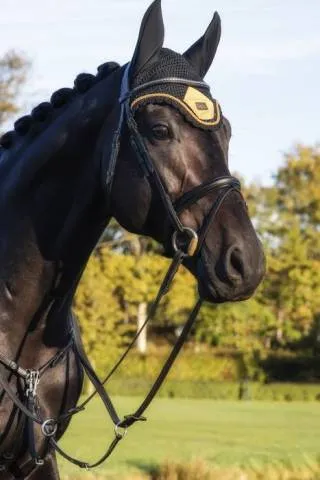 Bonnet Equito – Amarelo – Noir – Cheval Achetez Aujourdhui
