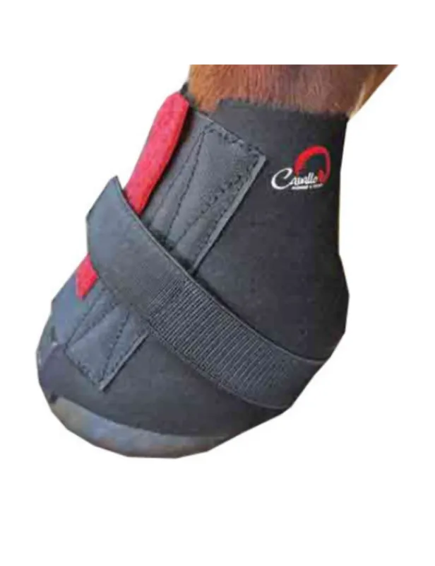 Bon March Protge paturons - CAVALLO - 2-3