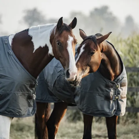 Couverture d'extrieur All Weather impermable pro Vert/Gris 160g - Kentucky - Vert/gris - 160 Remise