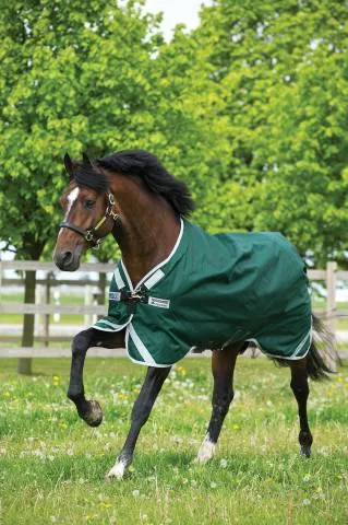 Offre Exclusive Couverture Rambo Original Extrieur Lite 0g - BORDEAUX - 5'6 / 115 CM