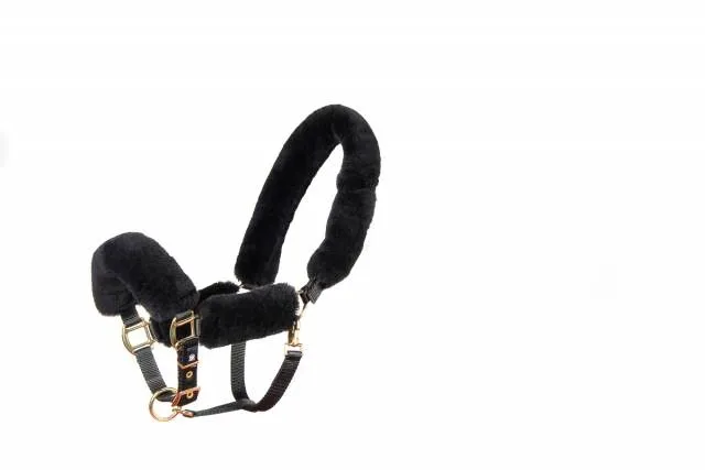 Licol et longe Mattes Deluxe Edition hiver 2020 - Noir - Noir - L Vente Directe