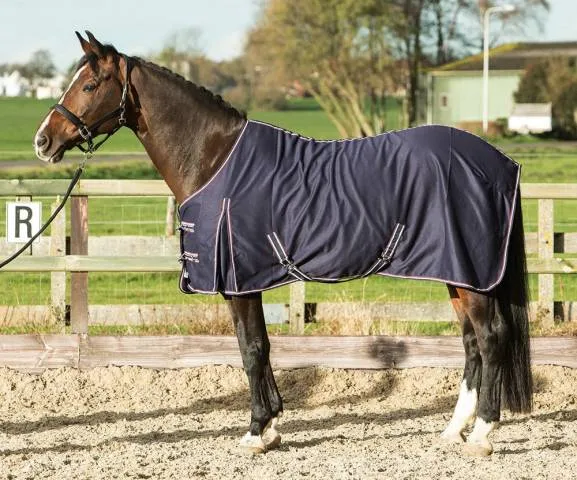 Chemise Polycotton ultra-resistante – Harry&rsquo;s Horse – Bleu Marine – 145cm Haute Qualit