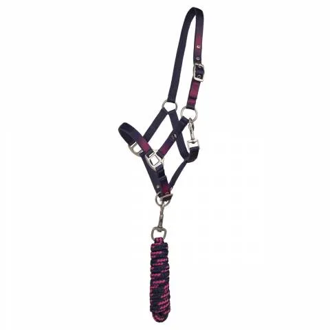 Licol+longe Jaily Ombre QHP - SHETLAND Prix Bas