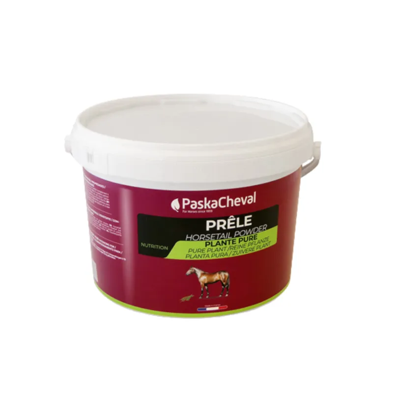 Prix Promo Prle - PASKACHEVAL - 900 g
