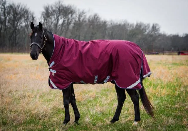 Livraison Gratuite Couverture d'extrieur Rambo Wug Lite 50g - BORDEAUX - 5'9 / 125 CM