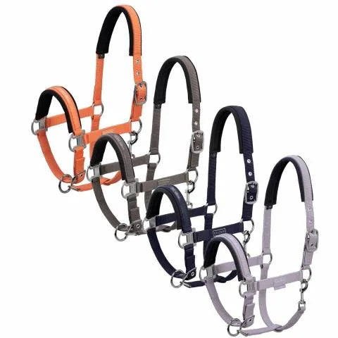 Licol Classic Sports 2022 - Eskadron - Lilas - cheval de trait Acheter En Ligne