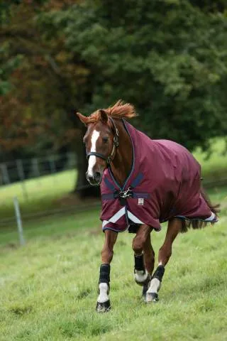 Couverture Rambo Wug Extrieur Medium 200g - BORDEAUX - 5'9 / 125 CM Rduction