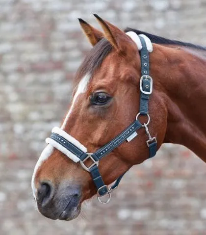 Expdi Aujourdhui Licol Elegant Mouton Waldhausen - Cannelle - Poney