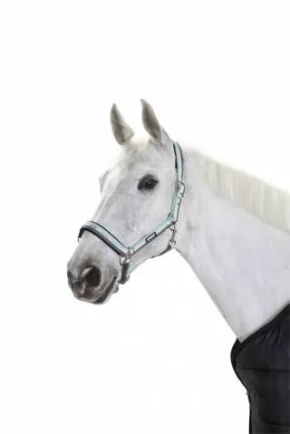 Licol ethologique Basics – Eskadron – Nylon – Noir – Cheval Quantit Limite