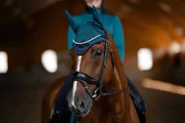 Prix Cass Bonnet Aurora Blues - Equestrian Stockholm - Bleu - Cheval