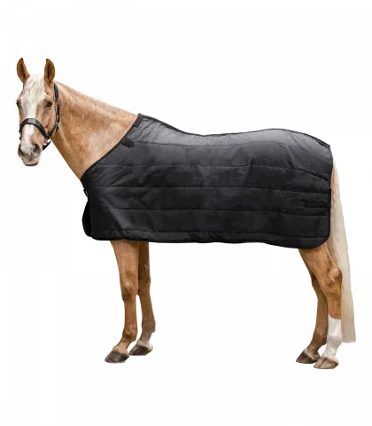 Sous-couverture thermique Waldhausen - 100 g - Noir-Noir - 115CM Achat Immdiat