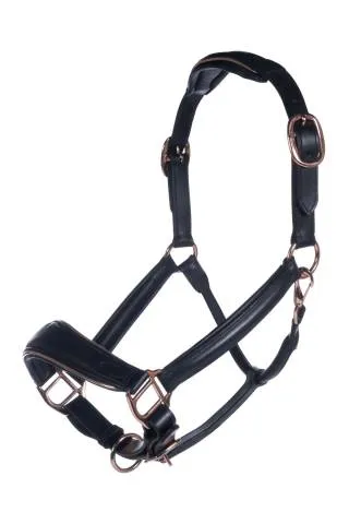 Affaire Saisir Licol en cuir Gold Poney HKM - Noir - Poney