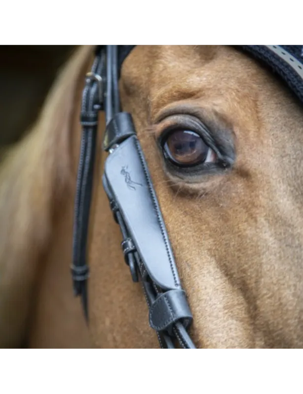 Oeillres "Blinkers" - PENELOPE - noir Meilleure Vente