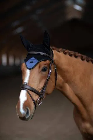 Paiement Scuris Bonnet Sportive Dark Venice - Equestrian Stockholm - Noir - Cheval