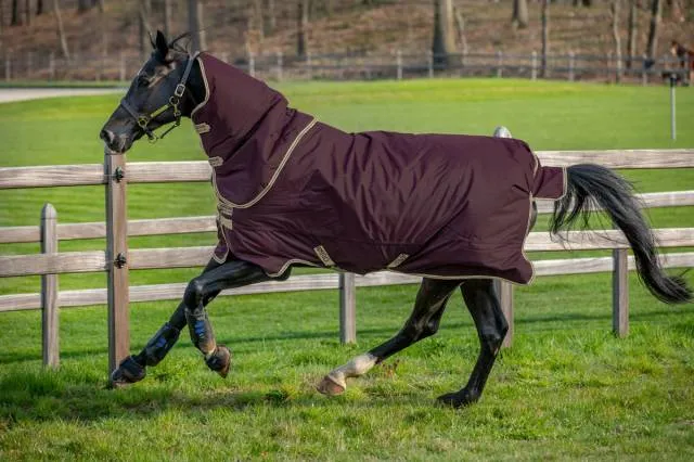 Solde Couverture Amigo Hero ripstop plus lite 0g - Horseware - extrieur impermable - BORDEAUX/MARINE - 7'0 / 160 CM