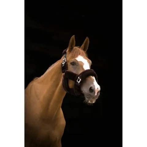 Nouvel Arrivage Licol Teddy brun/brun - Equi-Thme