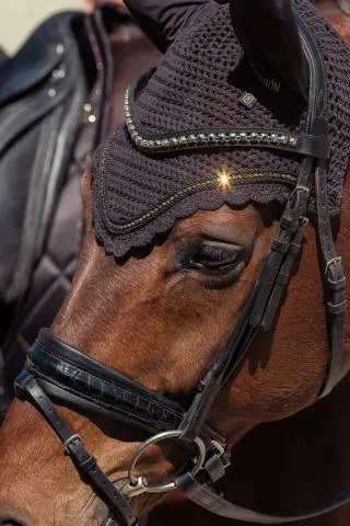 Livraison Gratuite Bonnet anti-mouches Crystal Heritage 2025 - Eskadron - Bleu Marine - Cheval