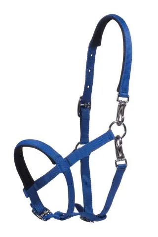 Nouvelle Collection Licol poulain Millie - HKM - Doux et rglable - Bleu marine