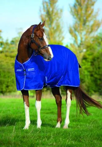 Couverture d'extrieur Amigo Hero 6 Medium - Horseware - 600d - NOIR/MAUVE&MENTHE - 7'0 / 160 CM Satisfait Ou Rembours