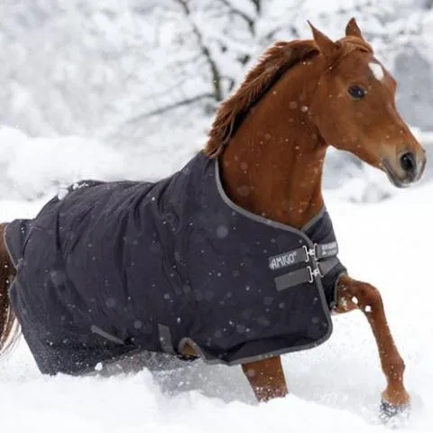 Offre Exclusive Couverture extrieure Amigo Turnout 600d - Horseware - GRIS EXCALIBUR - 7'0 / 160 CM