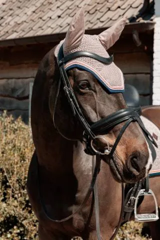 Bon March Bonnet anti-mouche pied de poule wellington - Kentucky - Bordeaux - Cheval
