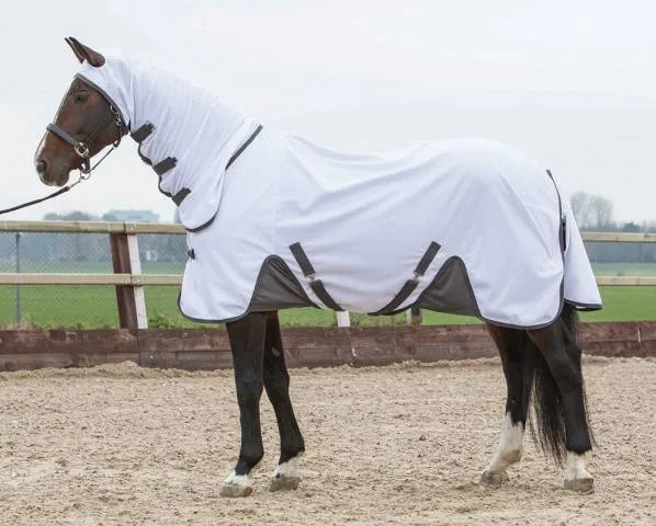 Achetez Aujourdhui Chemise anti-mouches Harry's Horse - 95cm