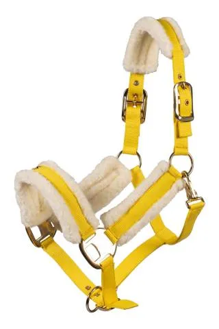 Dernier Modle Licol Limone Elegant - Lauria Garelli - Confort faux fur - Jaune - COB