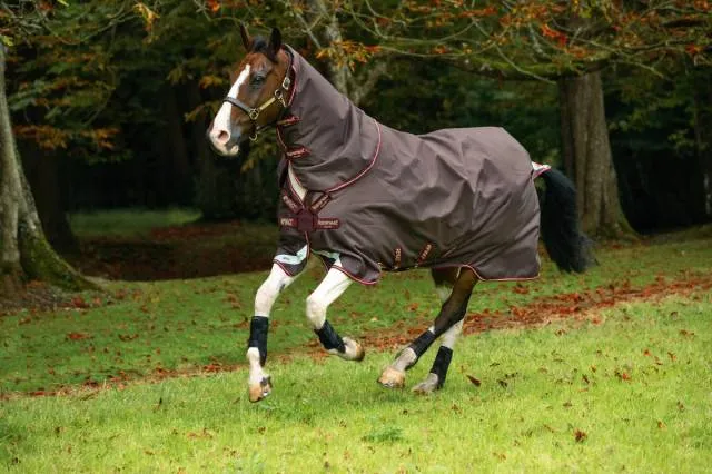 Solde Couverture Amigo Bravo 12 plus 100g - Horseware - extrieur - MARINE - 7'0 / 160 CM